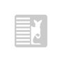 Section icon